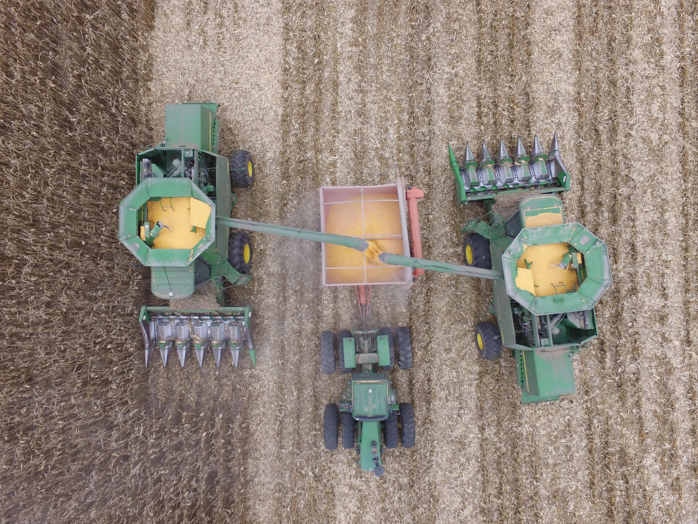 DJI_0454