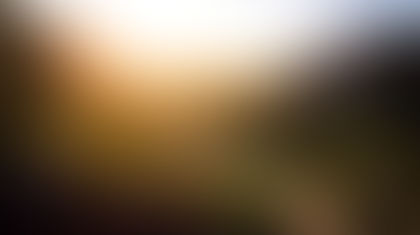 Weekly Bulletin, April 24, 2022