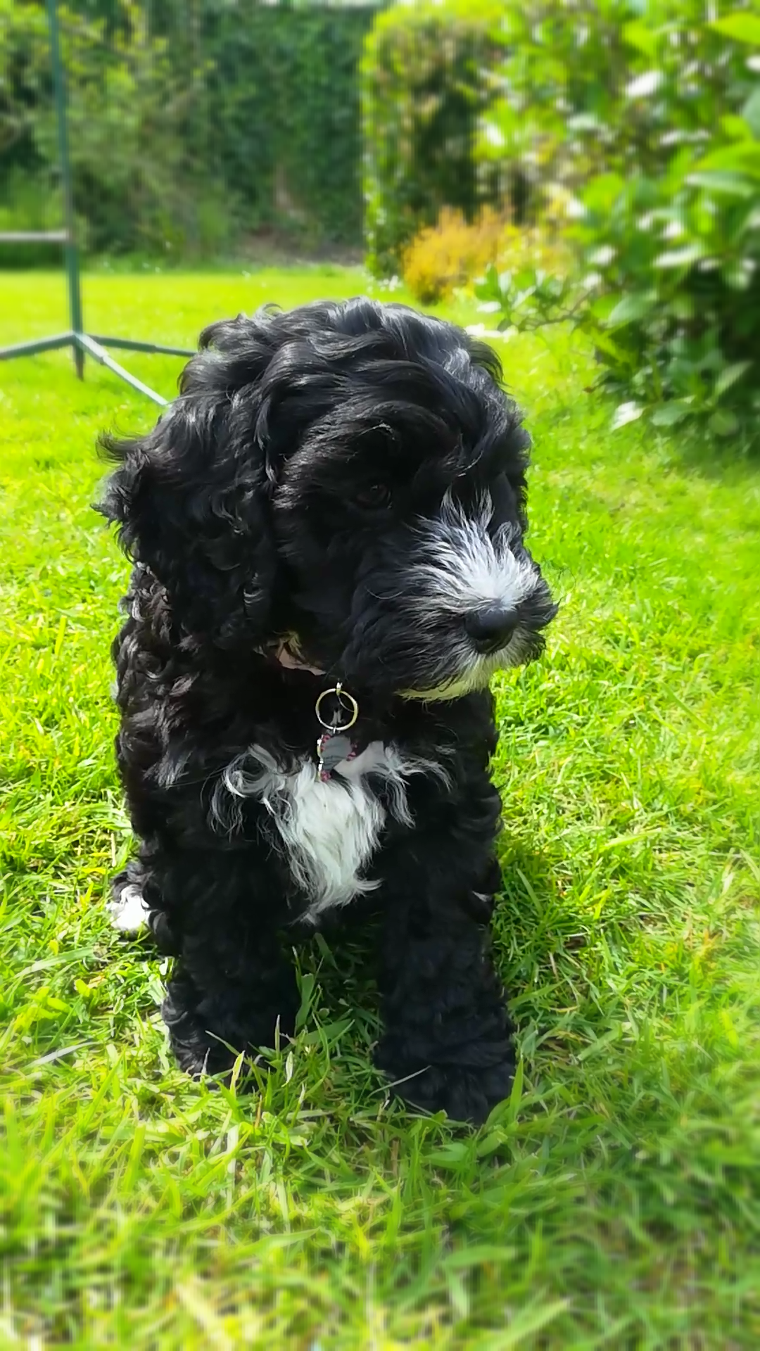 Mitsy
