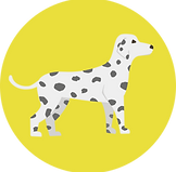 dog (6).png