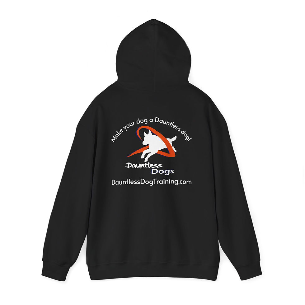 Thumbnail: Dauntless Hooded Sweatshirt