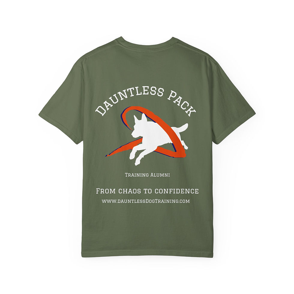 Thumbnail: Dauntless Pack T-shirt