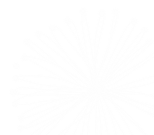 logo_white.png