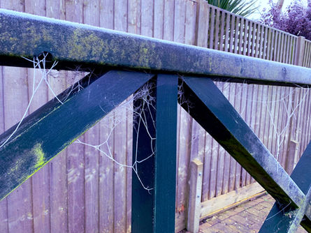 Silver Silk.jpeg