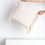 Miniature : Coussin velours Maison Madeleine