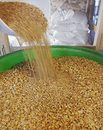 Concassage du malt