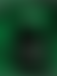 Stray Kids - Holiday Special Single 'Christmas EveL' Limited version (until 30/11)