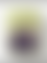 NCT DREAM - 2022 Season`s Greetings (until 30/12)