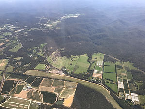 IMG_4396.jpeg
