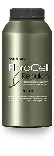 1 Liter FloraCell.png