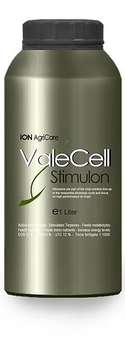 1 Liter ValeCell.png