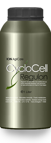 1 Liter CycloCell.png