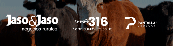 19b13a_b89112d1508440b9a6cb71f5aee930e9~mv2.gif