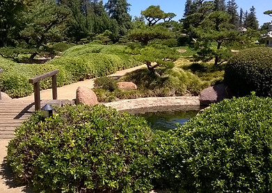 Shmura Neighborhood