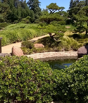 Gartenpflege Zaubersauber Würzburg