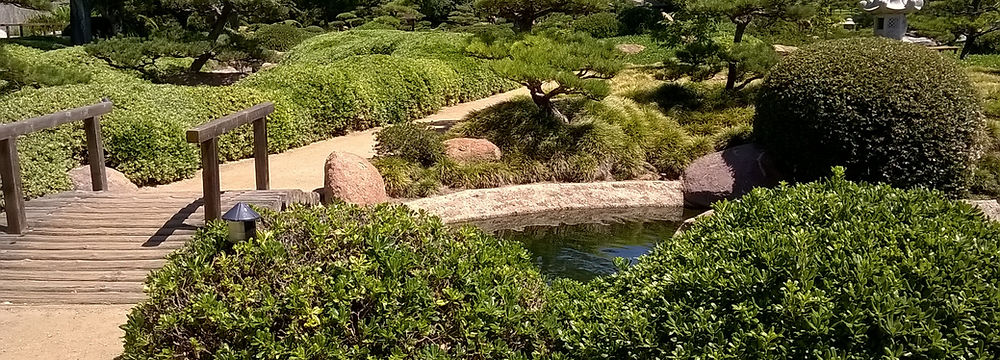A path in a garden with a small bridge that goes over a small body of water.