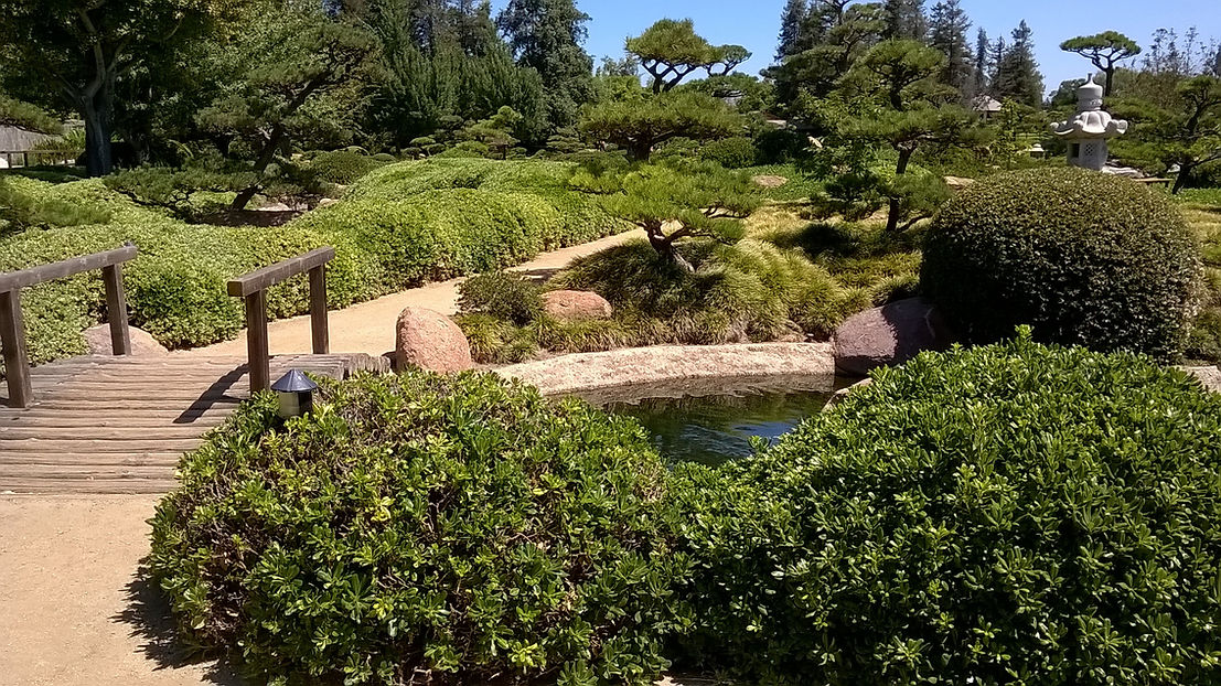 Forest in Nature