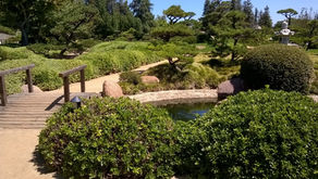 Revitalized by Nature