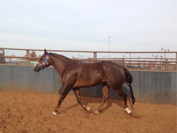 IMG_7332.JPG