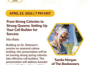 From Strong Colonies to Fat Queens