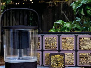 A New Honey Harvesting Innovation Worth Watching