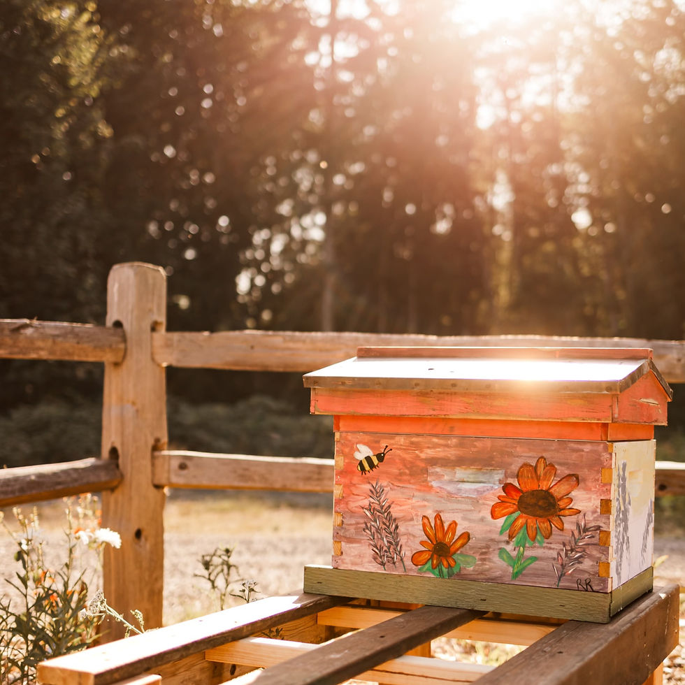 gritty_acres_flower_farm_market_flowers_sustainable_honey_bees_canvas_painting-27_edited.j