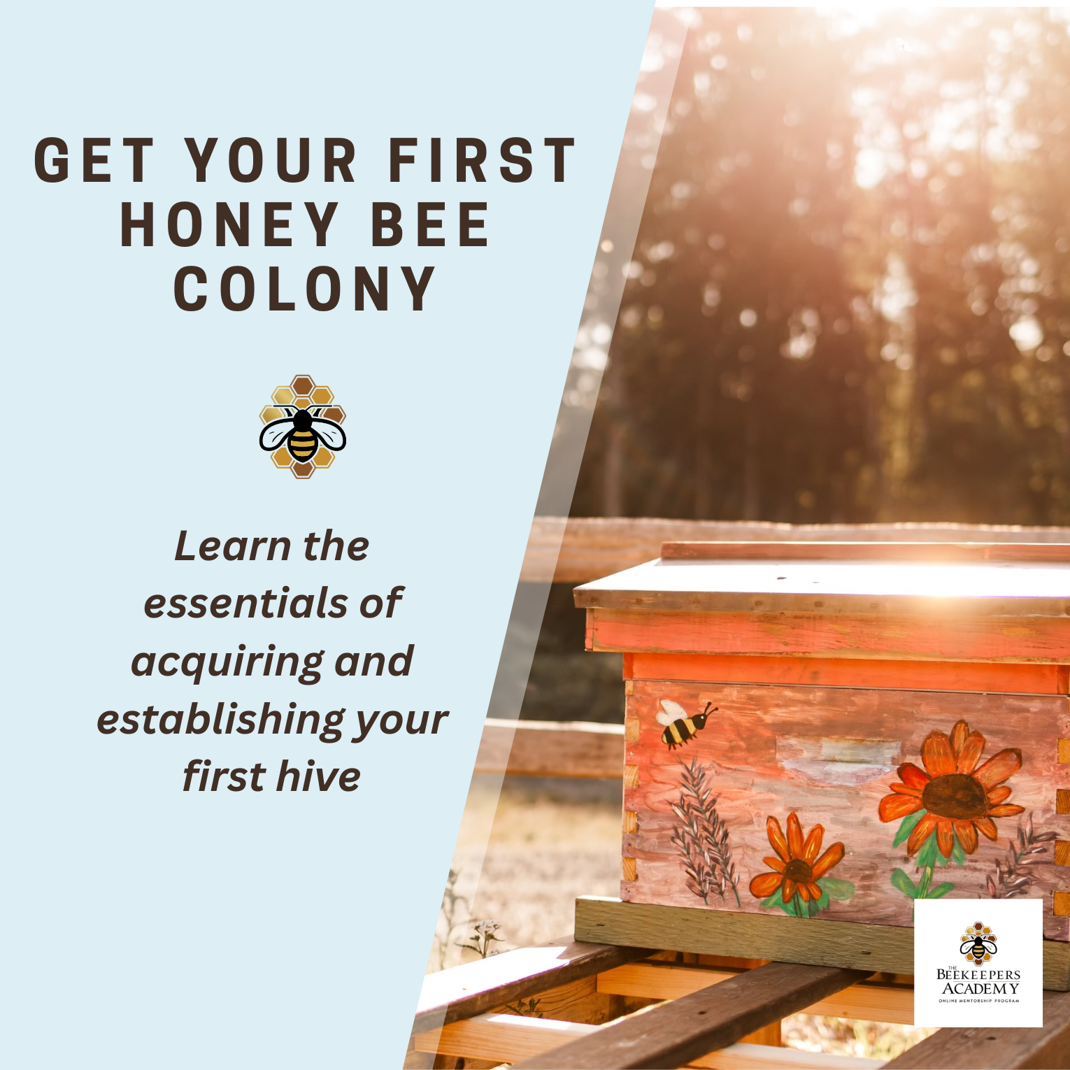 Get Your First Honey Bee Colony (Packet)