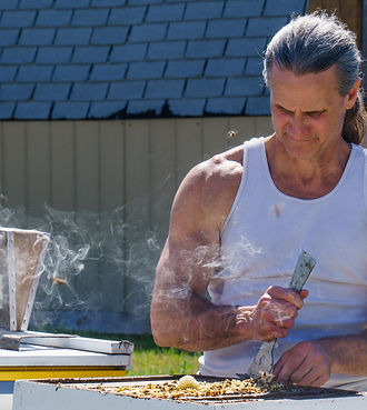 20240608_beekeeping_0007_cs.jpeg