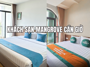 Review Khách Sạn Mangrove Cần Giờ: Mangrove Hotel Và The Mangrove Garden Có Gì Khác?