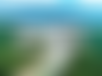 Rừng sác Cần Giờ rộng bao nhiêu km?