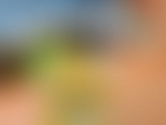 Trà chùm ruột muối ớt - "Cực phẩm" giải nhiệt độc đáo tại Mangrove Coffee & Tea