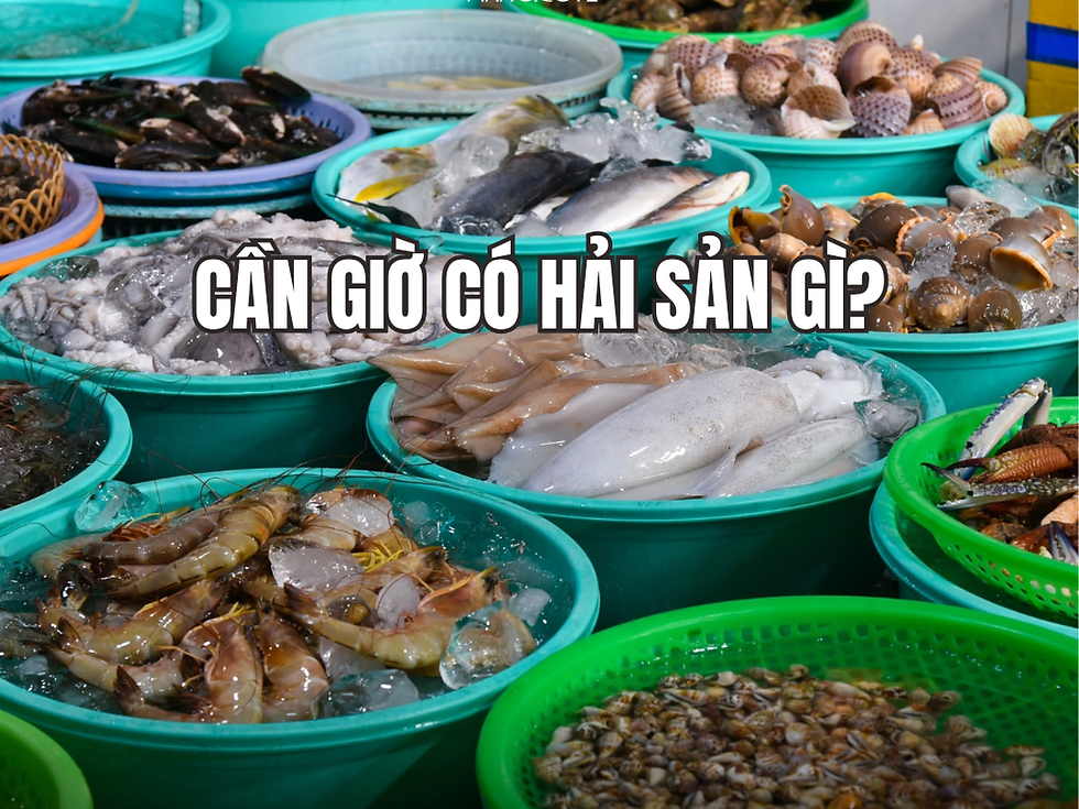 Cần Giờ có hải sản gì? Top 7 loại hải sản đáng thử và địa điểm thưởng thức hấp dẫn