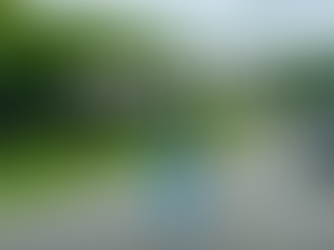 Cần Giờ có gì chơi? Gợi ý lịch trình khám phá Cần Giờ trọn vẹn, đi về trong ngày