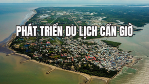 Phát triển du lịch Cần giờ: Cơ hội bứt phá hay bài toán đánh đổi?