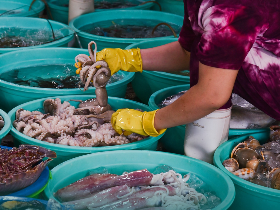 Một quầy hải sản tươi sống ở chợ Hàng Dương