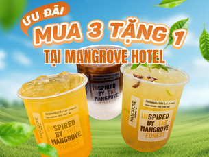 Ưu đãi mua 3 tặng 1 tại Mangrove Hotel: Thưởng thức menu nước đồ uống hấp dẫn