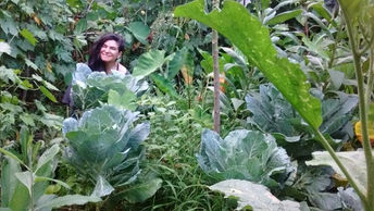 Agricultura familiar no meio urbano: histórias inspiradoras
