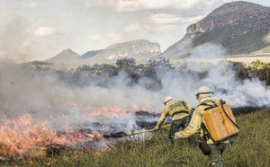A queima controlada precede em seis meses a semeadura no Parque Nacional da Chapada dos Veadeiros. Foto: Fernando Tatagiba/ICMBIO