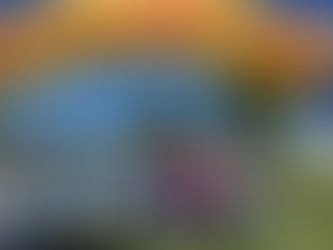 雙十國慶 Double Ten Celebration