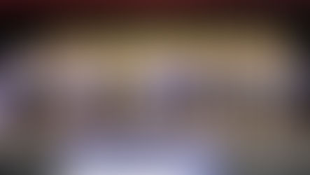 Taiwanese Elite Career Conference of North America 北美台灣菁英職涯博覽會