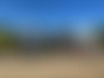 Orange Picking with TAPpy People