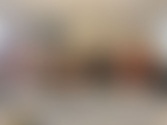 TJCCNA 19-2 Conference - 北美洲台灣商會聯合總會青商部第十九屆第二次理監事聯席會議