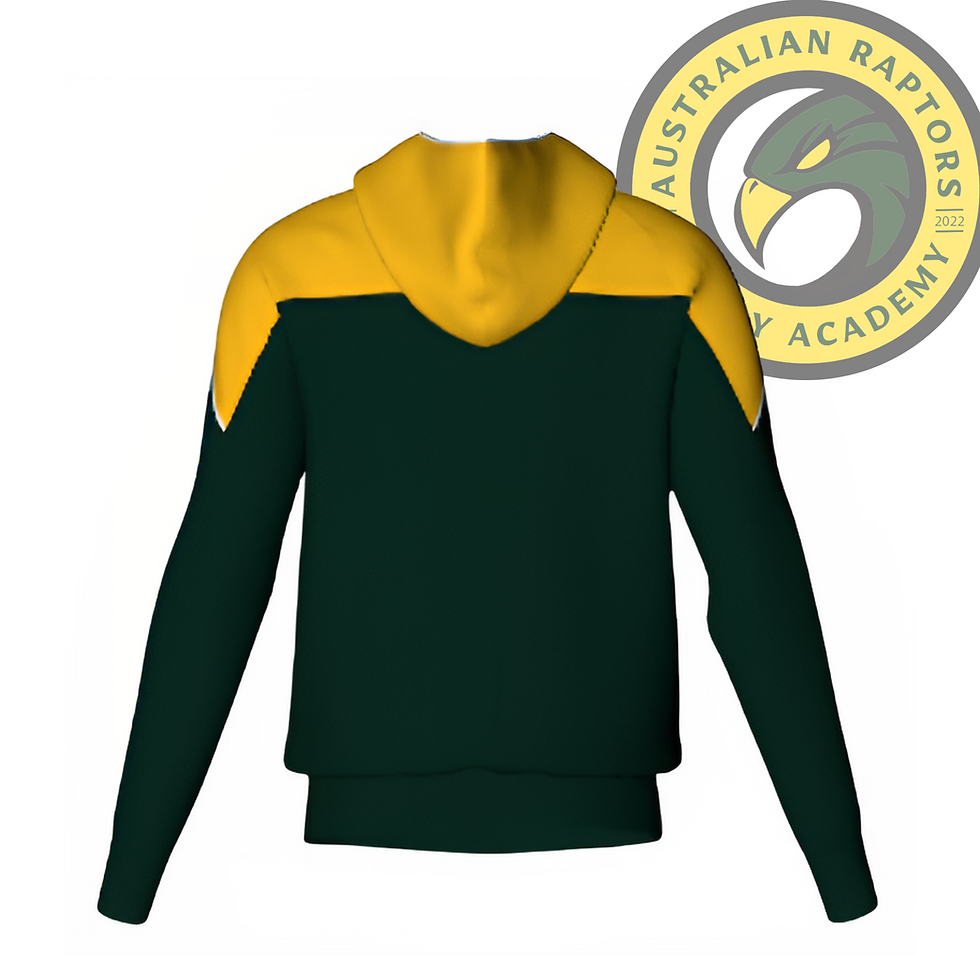 Thumbnail: Raptors Hoodie