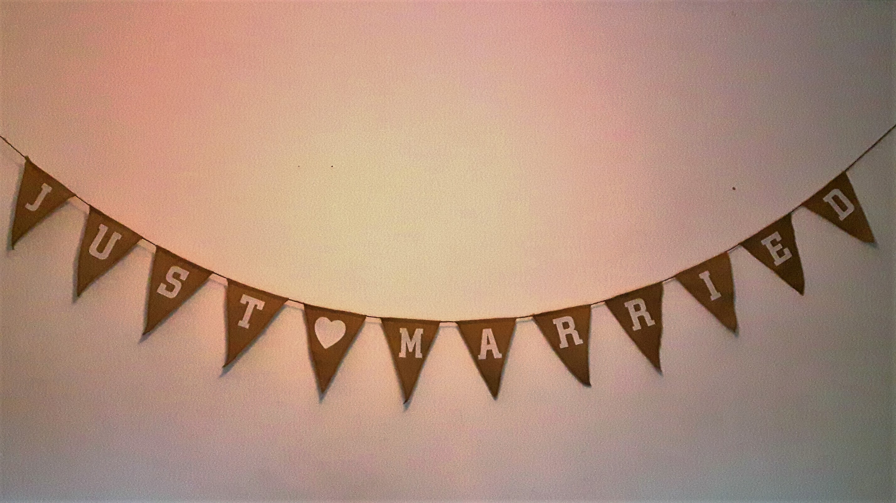 Just married bunting