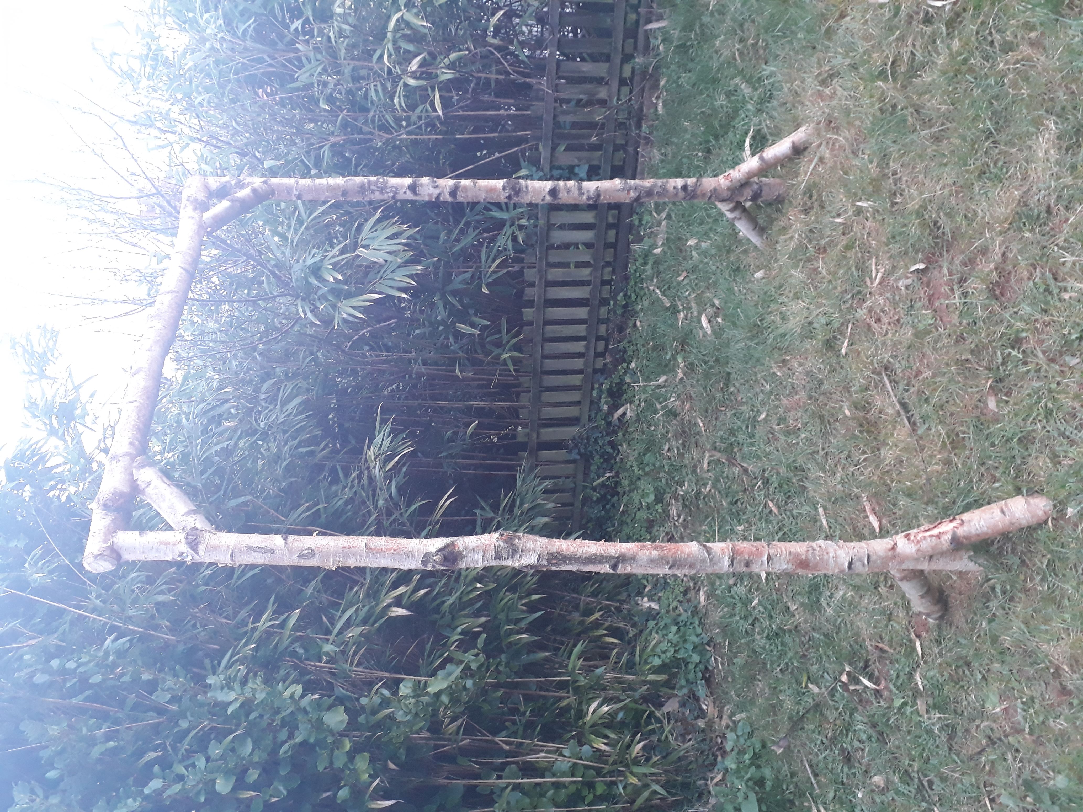 SILVER BIRCH ARCH