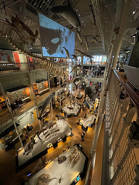 national-gallery-edinburgh-science-museum-culture-people-1658936-pxhere.com.jpg