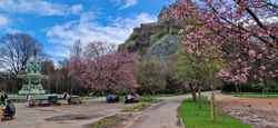 IMG_20240319_123210_612