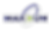 Maxxum Clear Logo.png