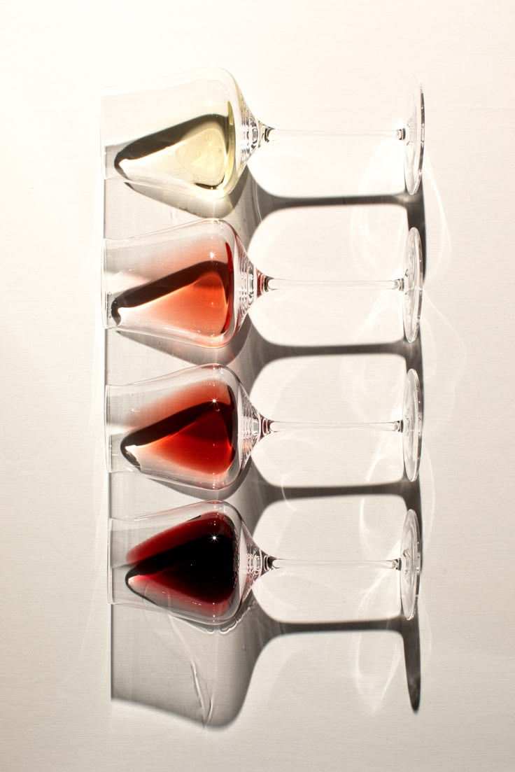 Dégustation de vins