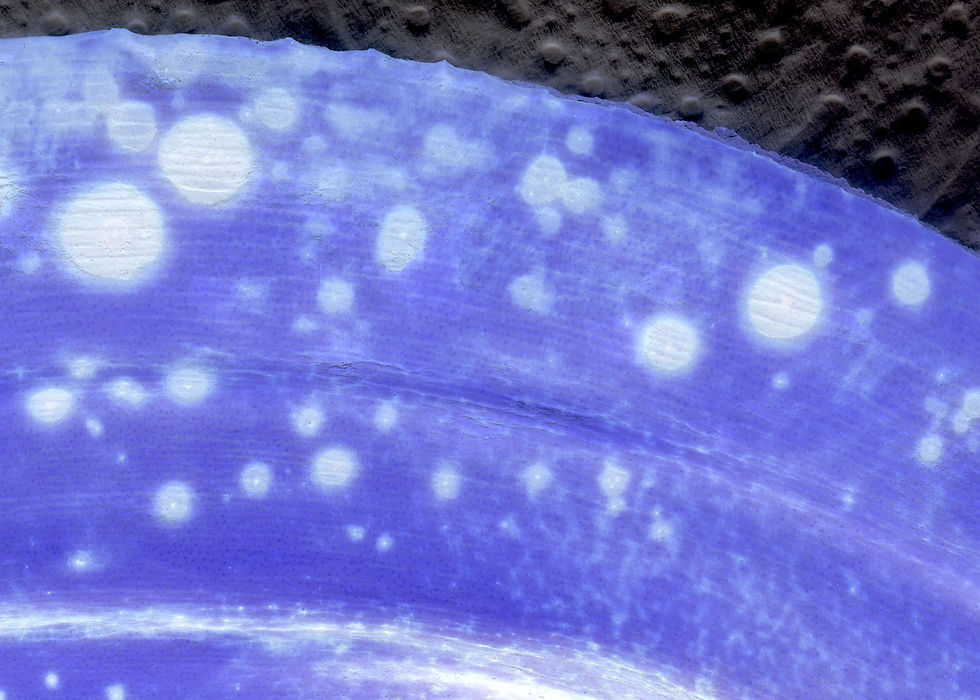 Exoplanète 1